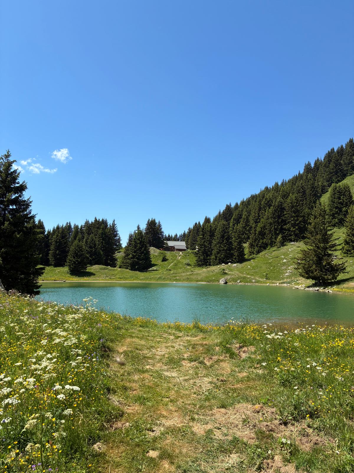 Lac de la Léchère en été à Saint-François-Longchamp